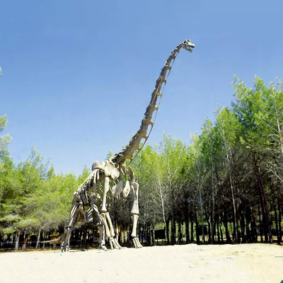 Ρεαλιστικό αντίγραφο σκελετού δεινοσαύρων / Ρεπλίκα Jurassic World για εσωτερικούς χώρους