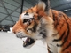 Ρεαλιστικό έγχρωμο μοντέλο Animatronic Tiger Ανθεκτικό στις καιρικές συνθήκες Ενήλικη ηλικία