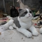 Ρεαλιστική Animatronic γάτα φυσικού μεγέθους, διαδραστική ομιλούσα υπέροχη γάτα