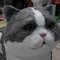 Ρεαλιστική Animatronic γάτα φυσικού μεγέθους, διαδραστική ομιλούσα υπέροχη γάτα