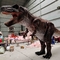 Μουσείο Ρεαλιστική Στολή Δεινοσαύρων 8m Long Adult Age Sounds Customized