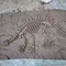 Handmade Museum Replicas Dinosaur , Dino Skull Replica Youth Age
