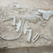 Ρεπλίκα δεινοσαύρων σε φυσικό μέγεθος, απολίθωμα ρεπλίκα δεινοσαύρων για επιχειρηματικές δραστηριότητες