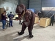 Προσαρμογή σε φυσικό μέγεθος Πραγματικό κοστούμι δεινόσαυρου για το δωμάτιο παιχνιδιών
