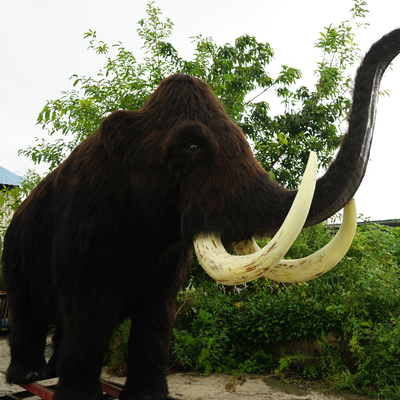 Αγορά Πλήρους μεγέθους Realistic Woolly Mammoth Αδιάβροχο για Λούνα Παρκ online manufacture