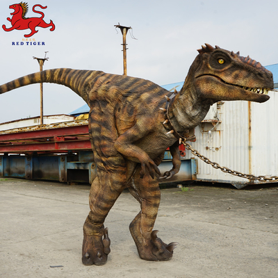 Αγορά Στολή Animatronic Velociraptor , Τεχνητή στολή δεινοσαύρων ενηλίκων online manufacture