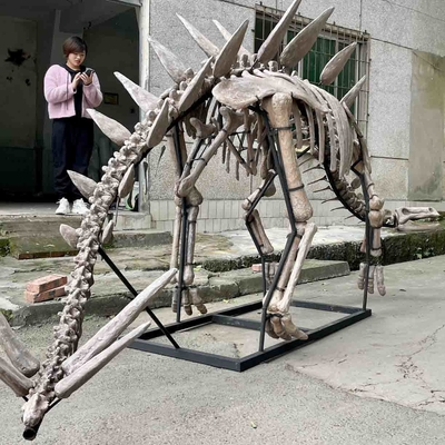 Έκθεση Jurassic Park Dinosaur Skeleton , Replicas Dinosaur Bone