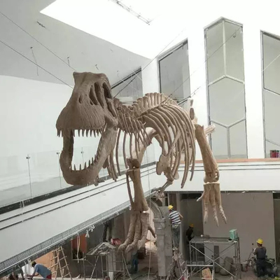 Αγορά Αντίγραφο Indoor Dinosaur Skeleton Youth Age Εγγύηση 12 μηνών online manufacture