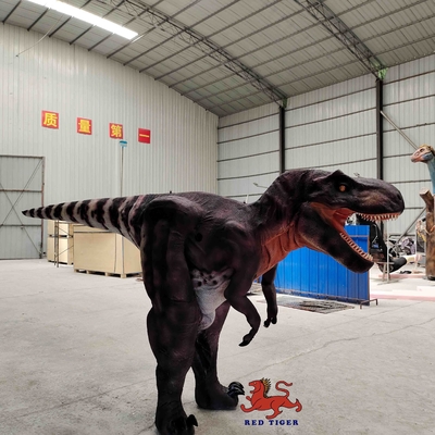 Προσαρμοσμένη στολή Real Life T Rex, Εσωτερική στολή Tyrannosaurus