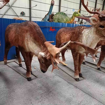 Όνομα