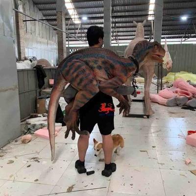 Όνομα