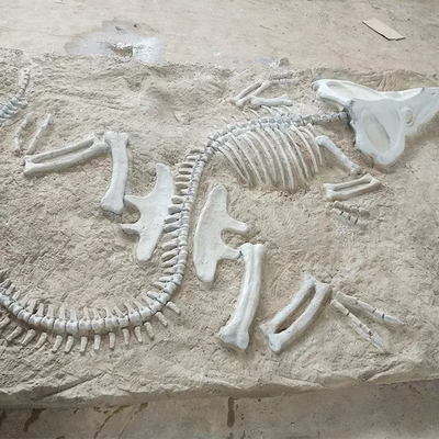 Όνομα