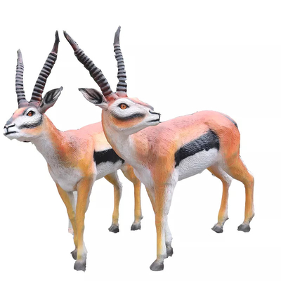 Όνομα