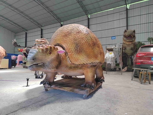 Όνομα